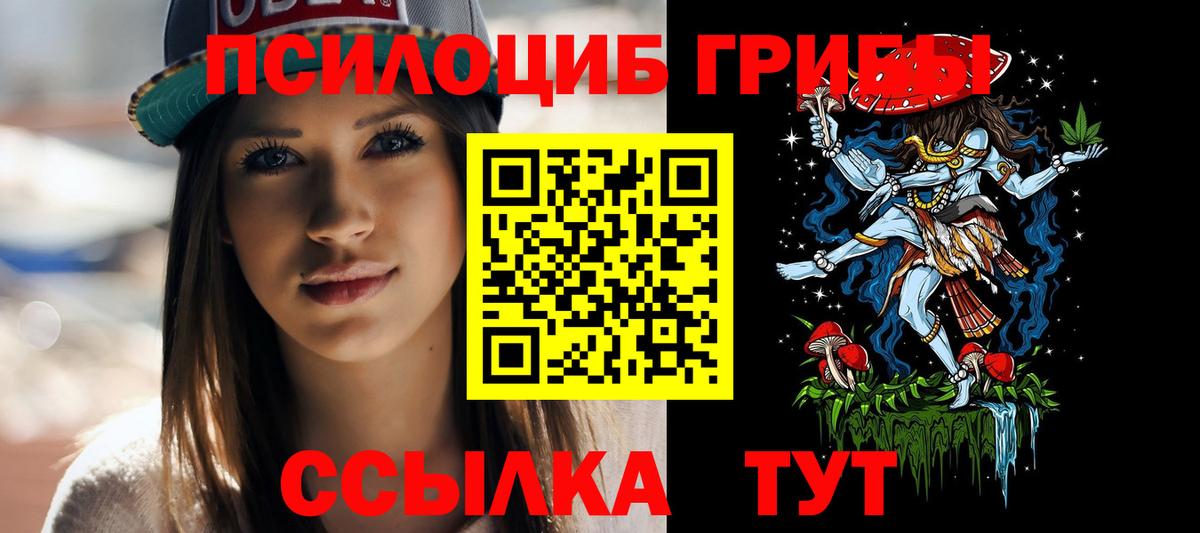 Нягань  Псилоцибиновые грибы Cubensis  Вход с VPN 